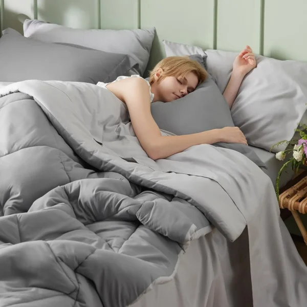 Winterwraps Comforter Set Reversible Queen Bed in a Bag with Comforters, Sheets, Pillowcases - Image 3