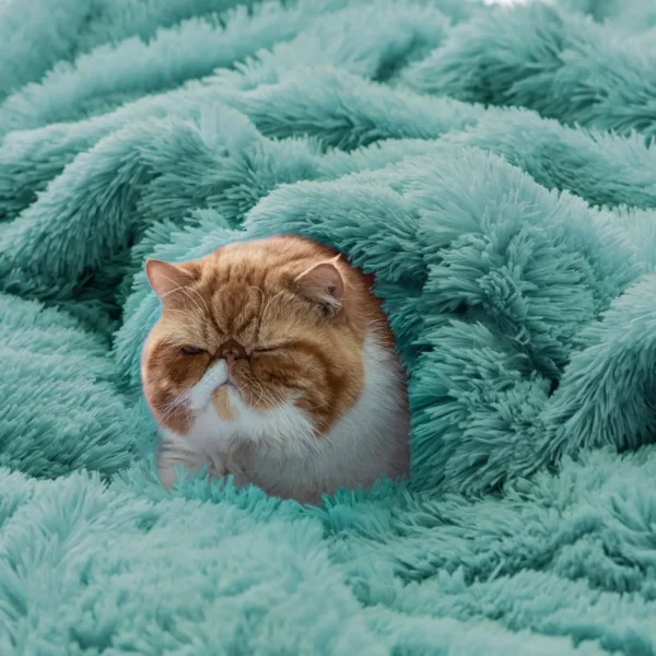 WinterWraps Soft Fuzzy Faux Fur Throw Blanket, 640 GSM - Image 6