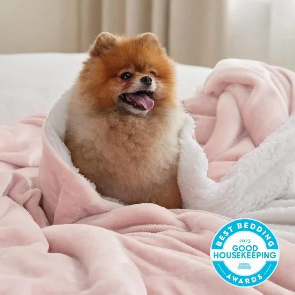 winterwraps Sherpa Fleece Blanket Thick and Warm Blanket for Winter, Soft Fuzzy - Image 6